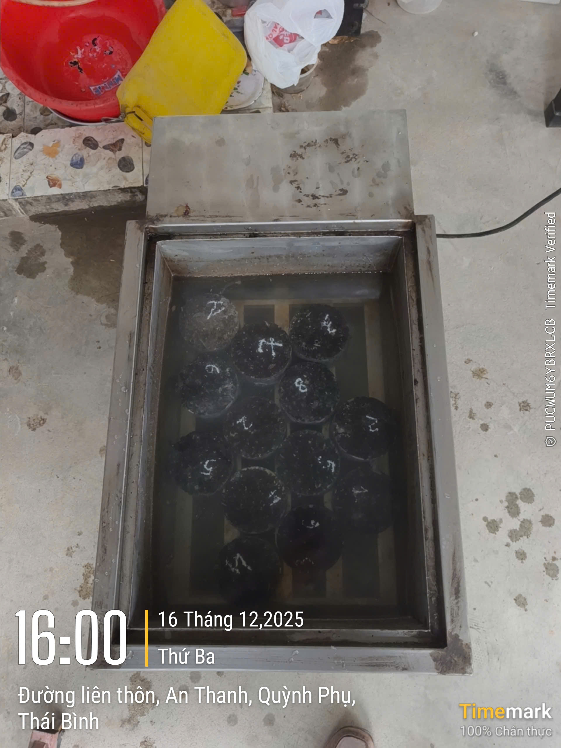 Gallery Image 17